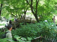  Garden in the temple with tourists