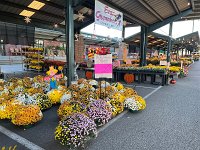  Capitol Market outside 