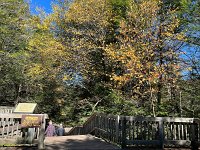  Blackwater Falls