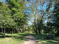  Nice trail near  Sunset Beach, Cape May, NJ 