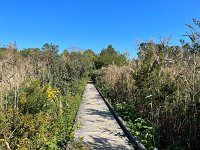  South Cape May Meadow Connection Trail